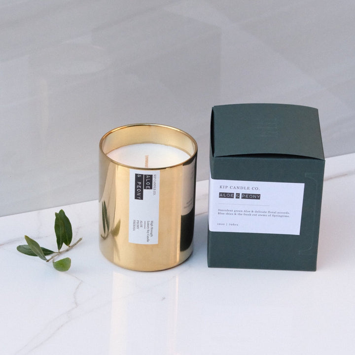 Aloe & Peony Original Candle / 70hr - Kip Candle Co